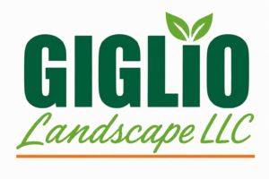 Giglio Landscape